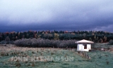 white_shed