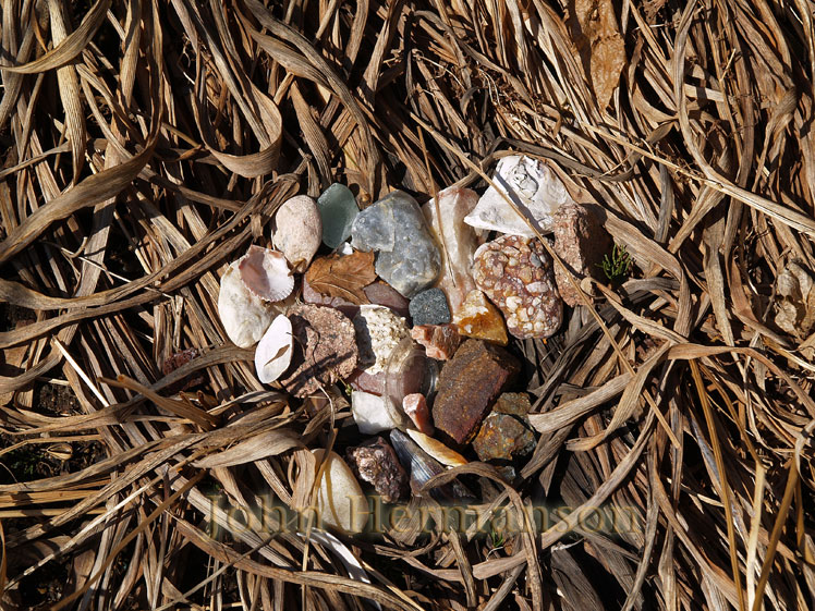 rocks-and-grass.jpg